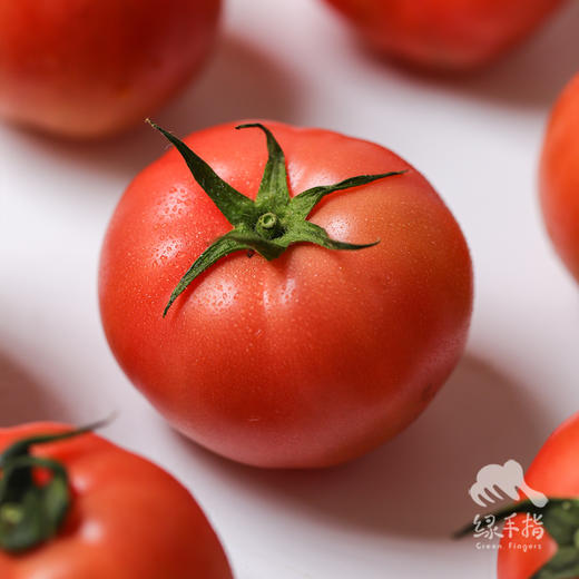 生态西红柿/番茄（沙瓤，丰收优惠满80-5元） | 绿家自产*Eco-tomato | In-House Production 商品图2