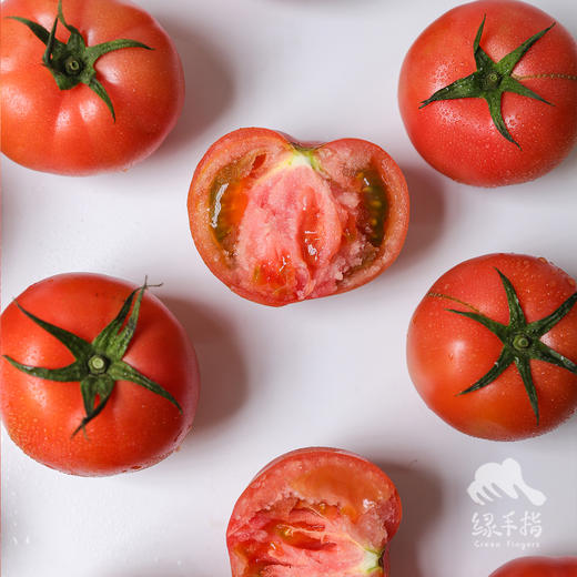 生态西红柿/番茄（沙瓤，丰收优惠满80-5元） | 绿家自产*Eco-tomato | In-House Production 商品图1