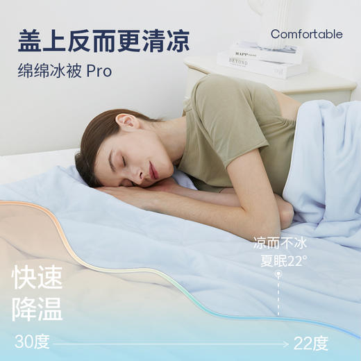Domiamia成人凉感被 商品图3
