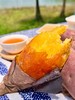 [산지직송]해남 밤고구마 【产地直发】海南 沙地红薯 商品缩略图4