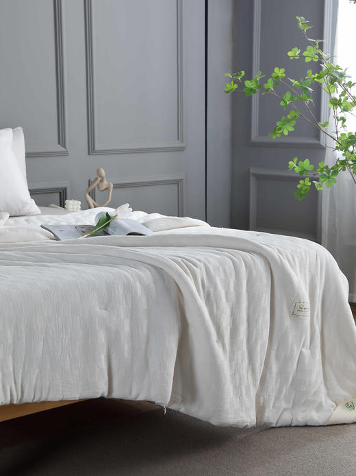 【远梦】植选大豆软软四季被 商品图4