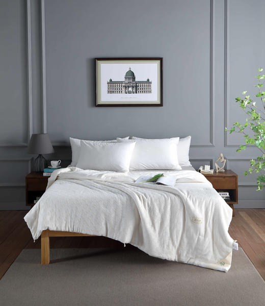 【远梦】植选大豆软软四季被 商品图2