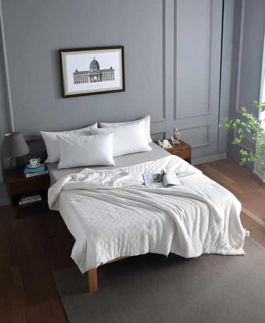 【远梦】植选大豆软软四季被 商品图3