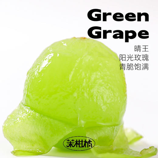 茉莉青提小方杯 商品图1