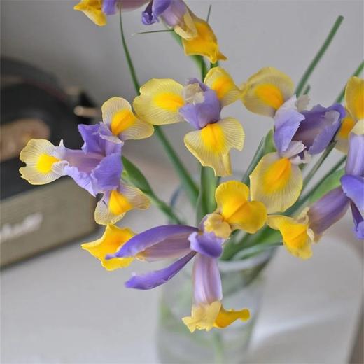 国产精品花材鸢尾花10支 商品图2
