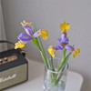 国产精品花材鸢尾花10支 商品缩略图3
