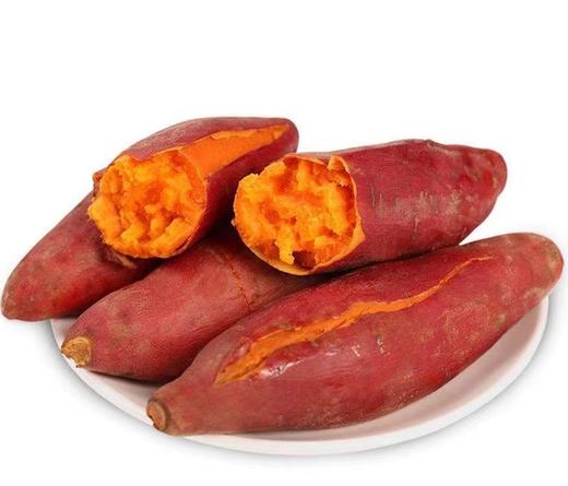 西瓜红番薯 商品图1