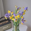 国产精品花材鸢尾花10支 商品缩略图0