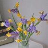 国产精品花材鸢尾花10支 商品缩略图1