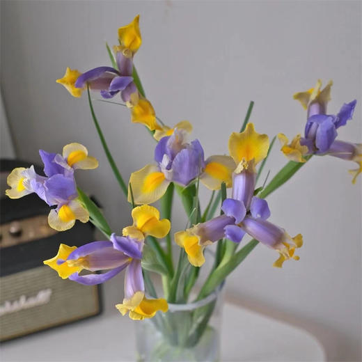 国产精品花材鸢尾花10支 商品图1