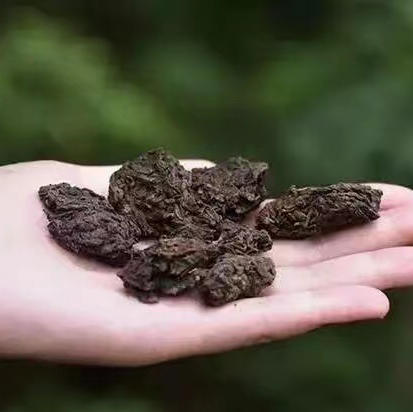 1999年老茶头 商品图3