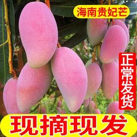 【严选】海南贵妃芒大果单果150g以上带箱5斤/9斤（厂家直发）
