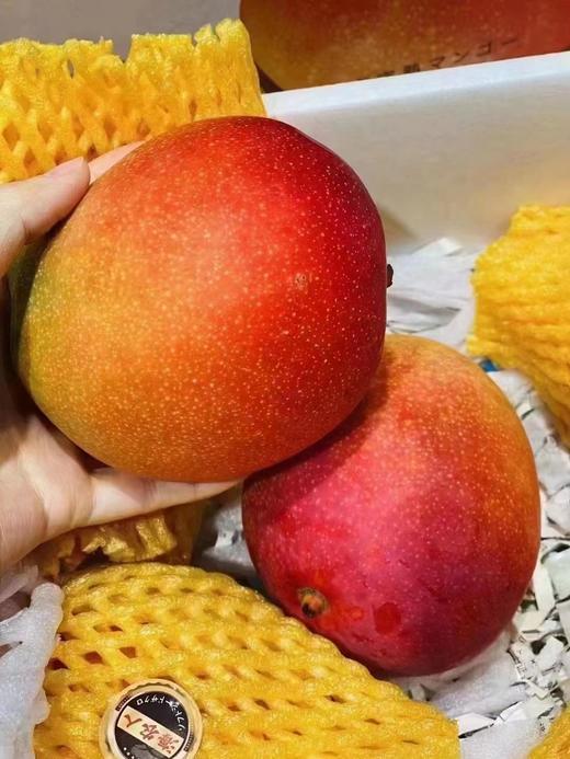 海南空运太阳芒（一箱6个） 商品图1