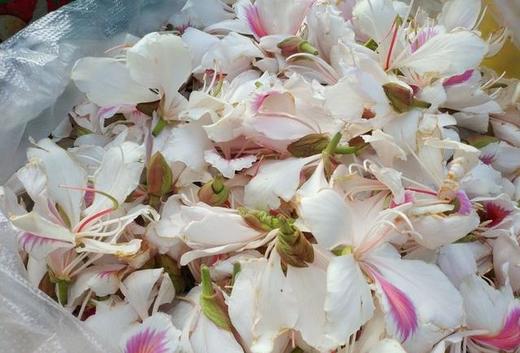 玉荷花 500g（今日预定，明日送达，预定商品无品质问题，不退货不换货不退款） 商品图0