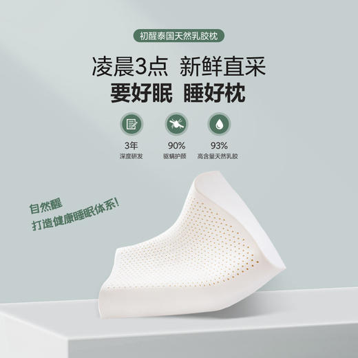 自然醒乳胶枕头天然泰国进口防螨护颈椎助睡眠单人记忆枕头枕芯 商品图1