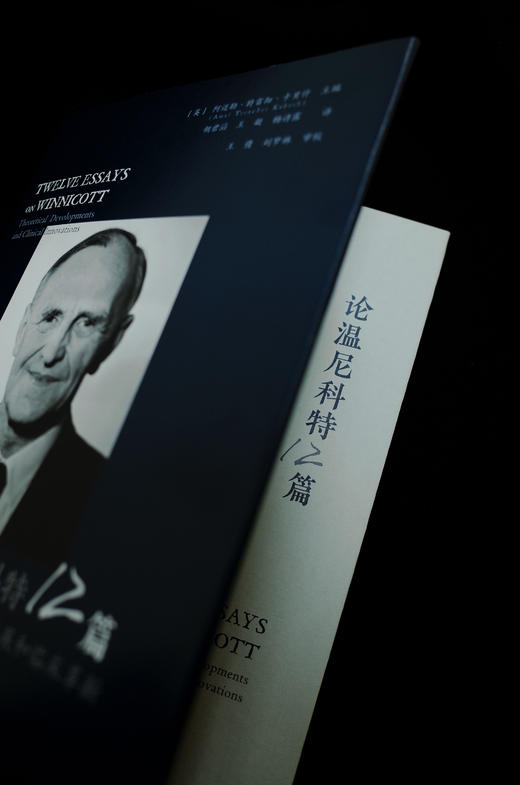 万千心理·论温尼科特12篇：理论发展和临床革新（精装） 商品图3