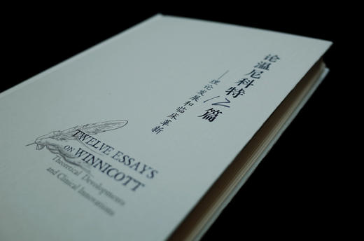万千心理·论温尼科特12篇：理论发展和临床革新（精装） 商品图5