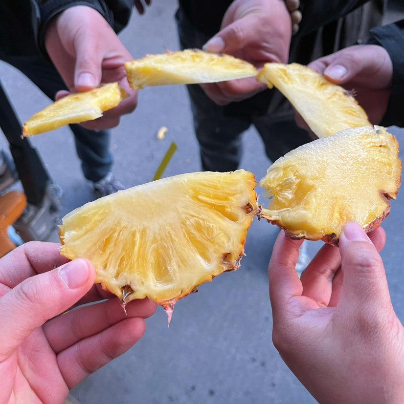 海南乡村振兴豆奶凤梨图片