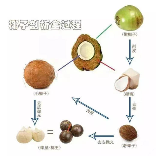 泰国🇹🇭老树椰皇🌴——精选老树果，椰汁香甜醇厚 商品图12