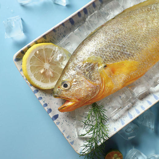 中粮凌鲜东海生态大黄鱼400g 商品图4