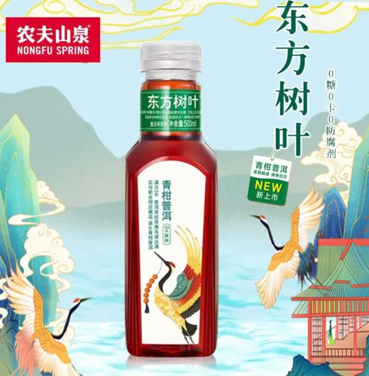 农夫山泉东方树叶青柑普洱500ml 商品图0