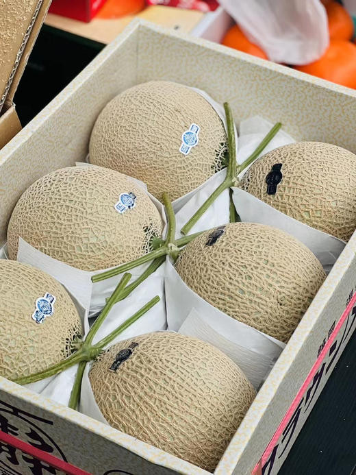 静冈温室网纹蜜瓜🍈 ——完全熟软后，浓浓的蜜瓜香气沁人心脾！一瓜一藤的专注 商品图5