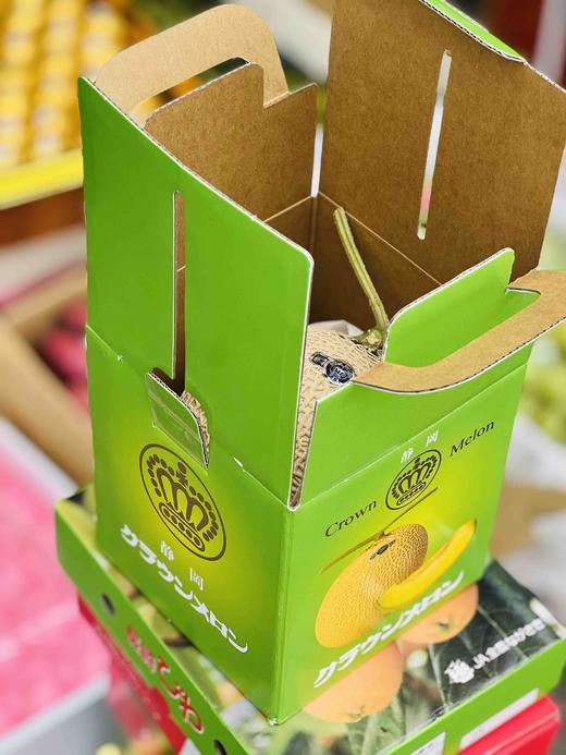 静冈温室网纹蜜瓜🍈 ——完全熟软后，浓浓的蜜瓜香气沁人心脾！一瓜一藤的专注 商品图3