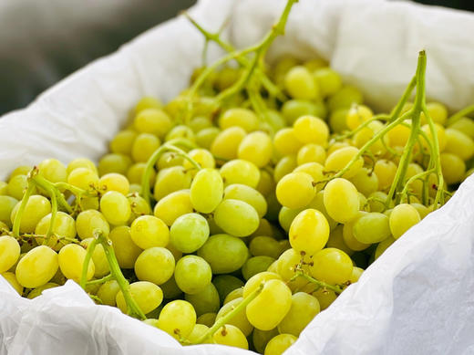 智利空运✈️棉花糖青提，打开盒就是甜甜的清香！果香味浓，带有一股棉花糖的味道 商品图9