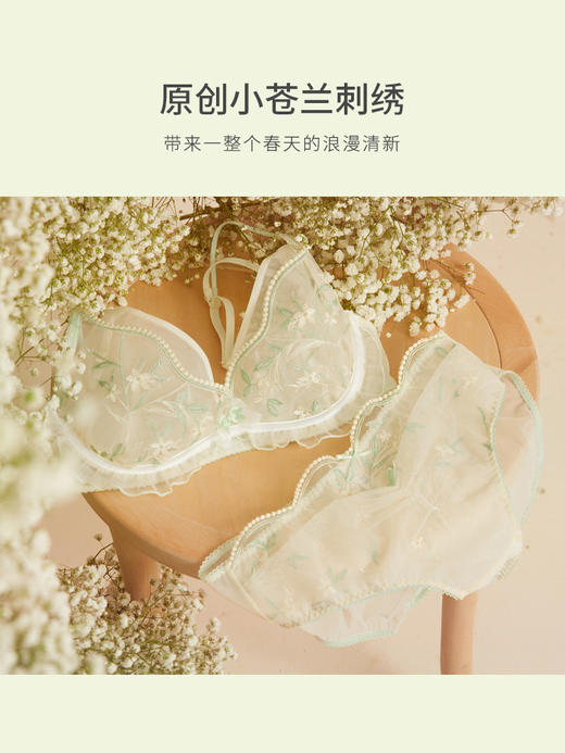 【积分兑换】奶糖派大杯文胸小苍兰文胸甜美清新舒适上托圆润稳定大胸内衣女 商品图1