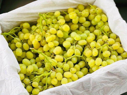 智利空运✈️棉花糖青提，打开盒就是甜甜的清香！果香味浓，带有一股棉花糖的味道 商品图10