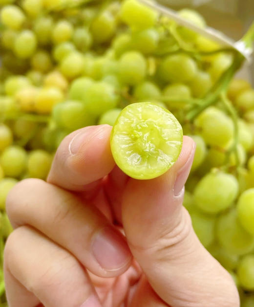 智利空运✈️棉花糖青提，打开盒就是甜甜的清香！果香味浓，带有一股棉花糖的味道 商品图8