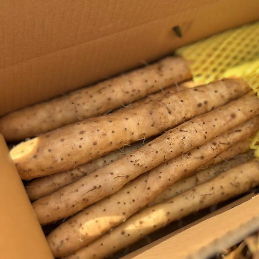 金沙「白芋山药」 整件约1.6~1.7kg 商品图7