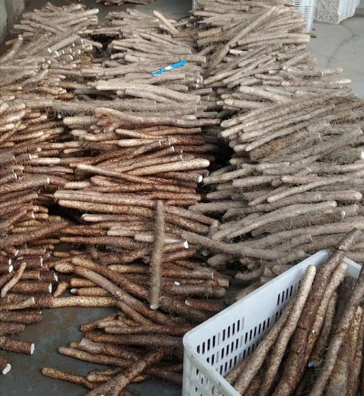 怀山药片、麸炒山药粉、山药粉（生粉） 商品图1