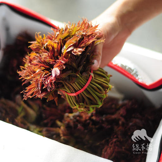 生态云南香椿 | 合作生产* Eco-cedrela sinensis |  Partner Production 商品图1