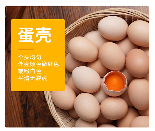 聼瀑崖 湖北硒都恩施山养含硒粉壳土鸡蛋/初生蛋 商品图2