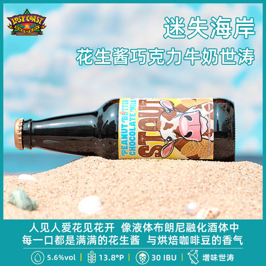 美国进口迷失海岸黑8精酿啤酒花生酱巧克力牛奶500ml 商品图2
