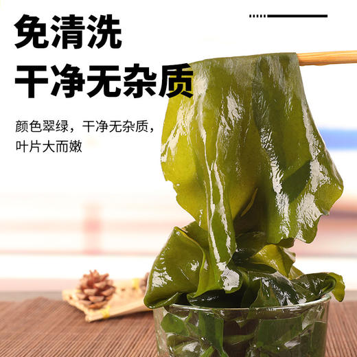 小伙子干裙带菜100g韩式干货薄海带丝易泡发无沙免洗 商品图4