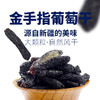 【新疆】什锦葡萄干 金手指葡萄干  一把尝到四种口味 商品缩略图4