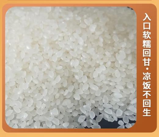秋然珍珠米25kg【LY】 商品图2