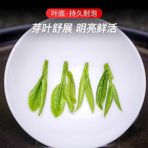 【明前头春•西湖龙井礼盒】 高山出好茶，源于核心区。2025年新茶预售！明前头春  有机种植   官方防伪  抢“鲜”下单，正宗西湖产区  3折抢先预售，3月25号开始陆续发货 商品图4