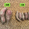 生态红薯（广州）| 合作生产* Ecological sweet potato | Coproduction 商品缩略图2