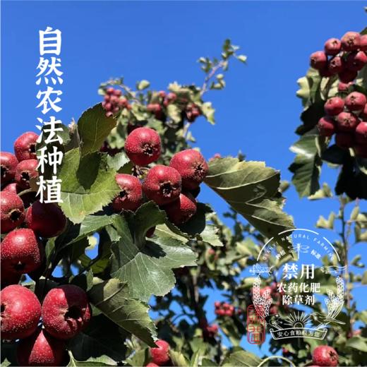 山楂棒棒100g*2包【产地直发】@谦益 商品图1