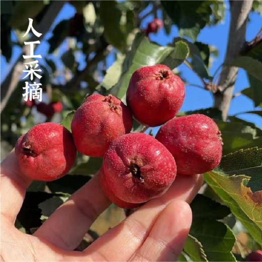 山楂棒棒100g*2包【产地直发】@谦益 商品图2