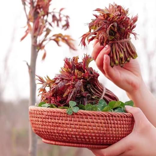 香椿100克 商品图0