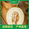百果园 金美人蜜瓜（中） 商品缩略图1