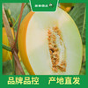 百果园 金美人蜜瓜（中） 商品缩略图6