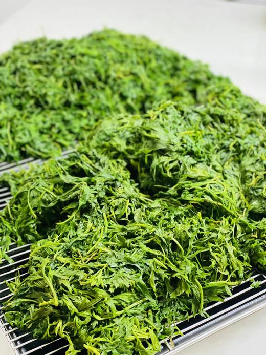 青团（现蒸） 商品图11