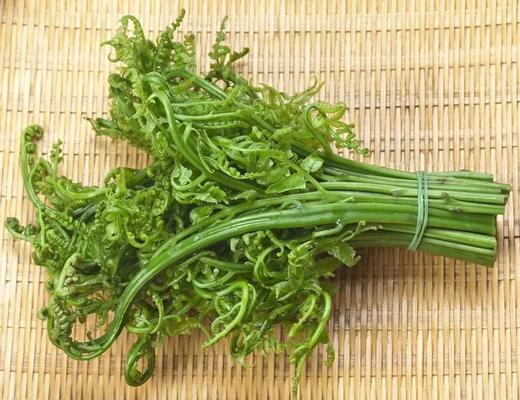 甜蕨菜  500g（今日预定，明日送达，预定商品无品质问题，不退货不换货不退款） 商品图1