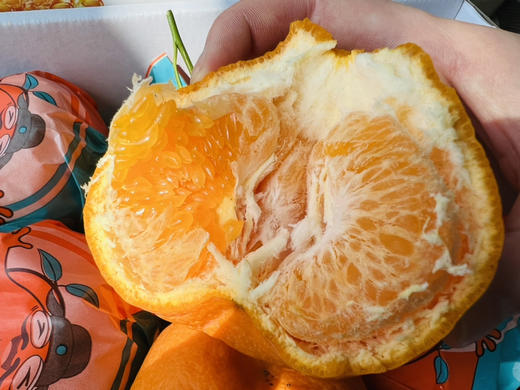晓橘春见耙耙柑🍊味道浓郁 商品图4