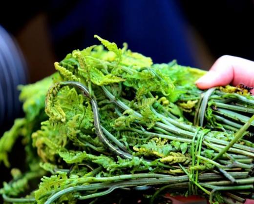 甜蕨菜  500g（今日预定，明日送达，预定商品无品质问题，不退货不换货不退款） 商品图0